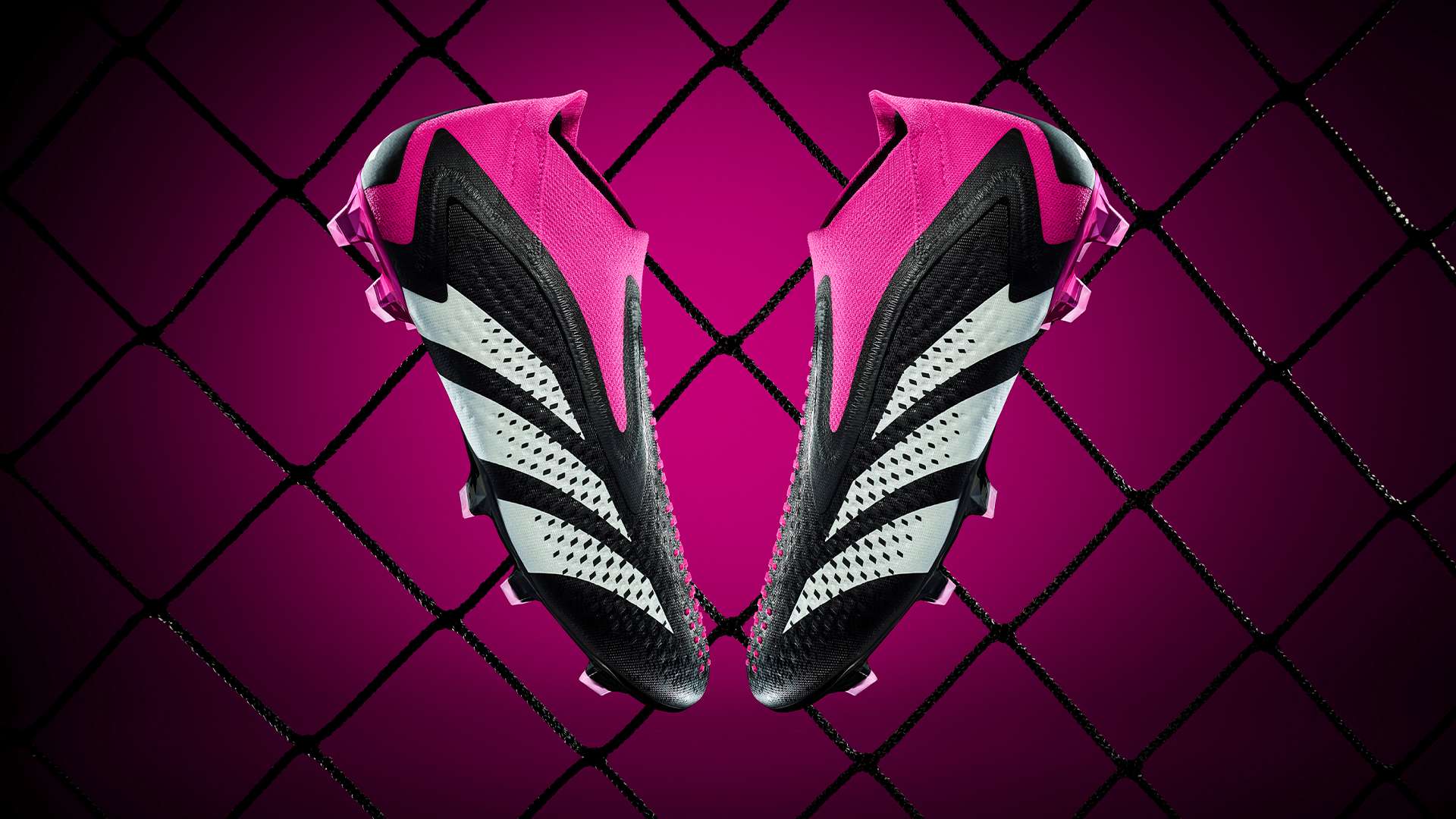 也暴露了国 也暴露了国