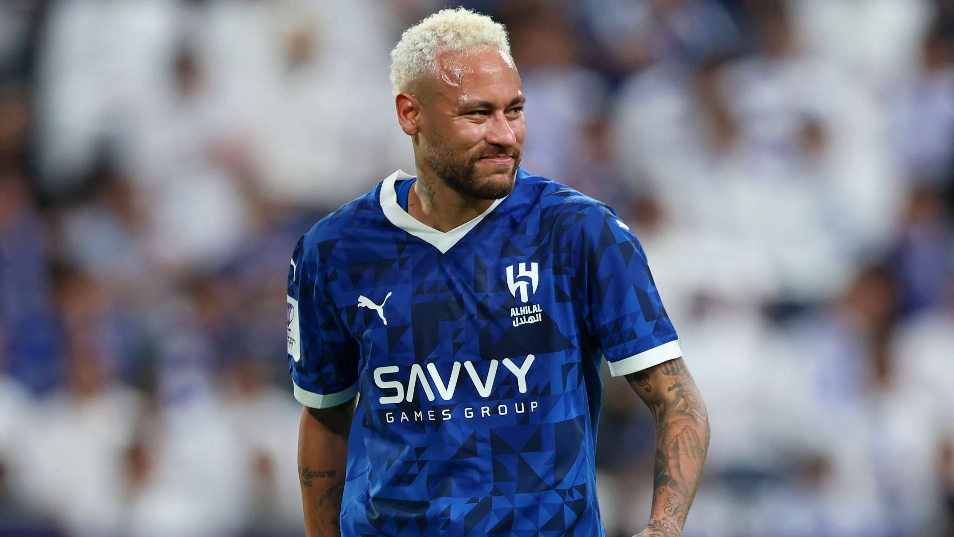 特维斯计划 特维斯计划